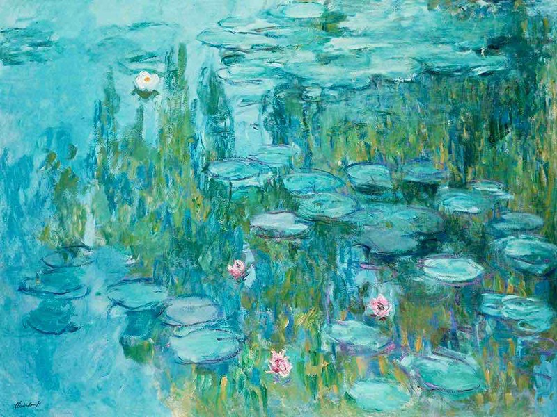 Monet's waterlily series became also well-known as his Haystacks did