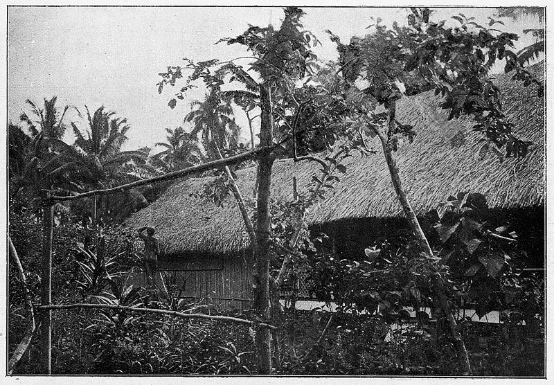 Gauguin's house in Tahiti