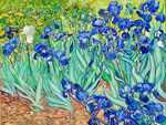 Each one of Van Gogh's irises is unique. He carefully studied their movements and shapes to create a variety of curved silhouettes bounded by wavy, twisting, and curling lines.