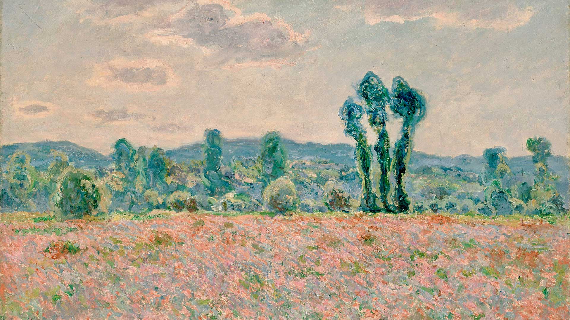 Claude Monet's Poppy Field