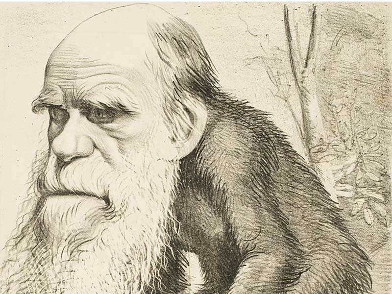 Darwin was also being ridiculed at the time for his progressive ideas.