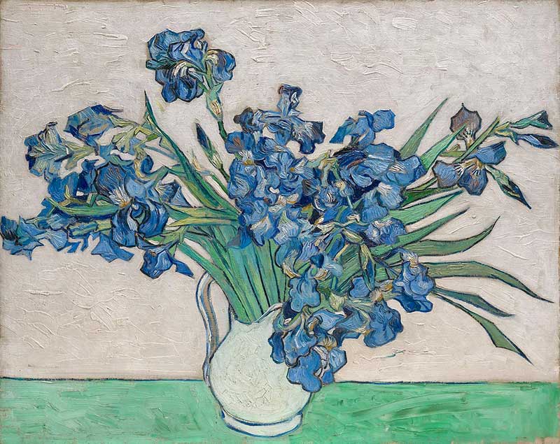 van Gogh's Irises (1889)
