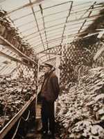 A photo of Gustave Caillebotte (1848-1894) in his greenhouse Petit Gennevilliers, in February 1892