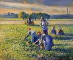 2017: Pissarro is back in the news due to a controversy regarding Pissarros’s painting Picking Peas. The painting belonged to Simon Bauer and was confiscated from him during the German occupancy of France.