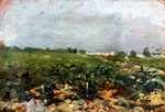 Céleyran, View of the vineyards by Henri de Toulouse-Lautrec in 1880