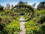Rose Arches at Giverny